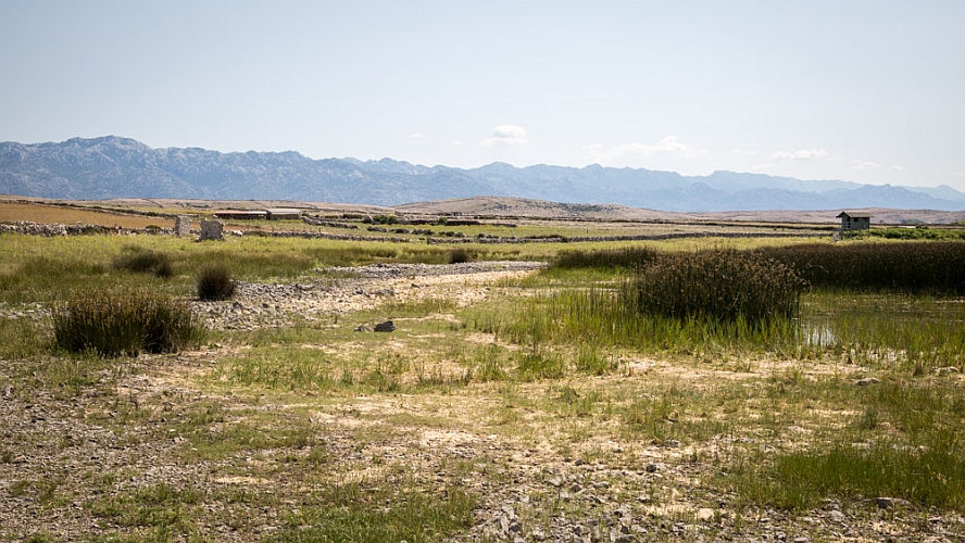_16C8021 Pag marsh.jpg
